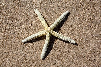 《It was a human》登陆Steam SF奇幻解谜ADV